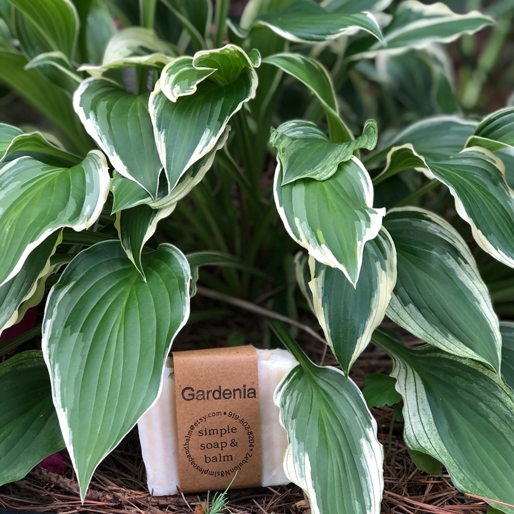 3 for $18 Gardenia Soap